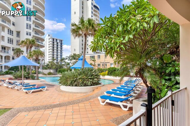 4/7 Elkhorn Avenue SURFERS PARADISE QLD 4217