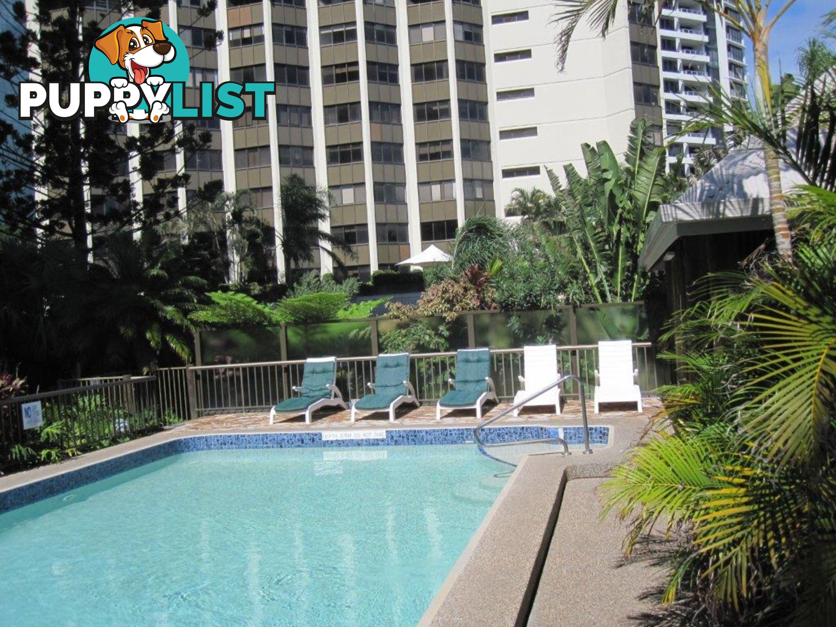 10/63 Cavill Avenue SURFERS PARADISE QLD 4217