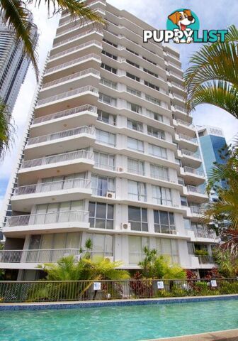 10/63 Cavill Avenue SURFERS PARADISE QLD 4217