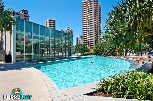 1508/9 Hamilton Avenue SURFERS PARADISE QLD 4217