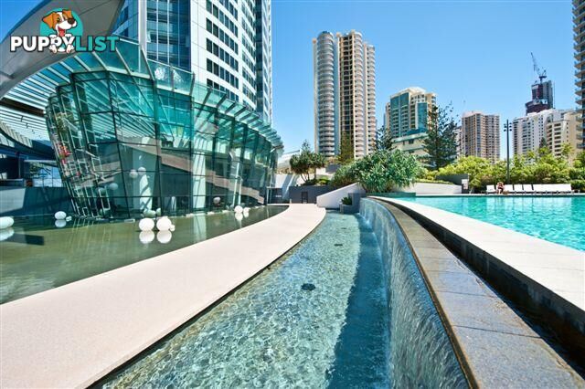 1508/9 Hamilton Avenue SURFERS PARADISE QLD 4217