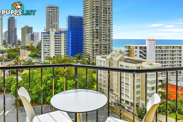 907/3197 Surfers Paradise Boulevard SURFERS PARADISE QLD 4217