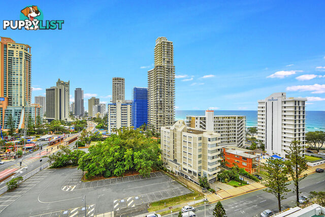 907/3197 Surfers Paradise Boulevard SURFERS PARADISE QLD 4217