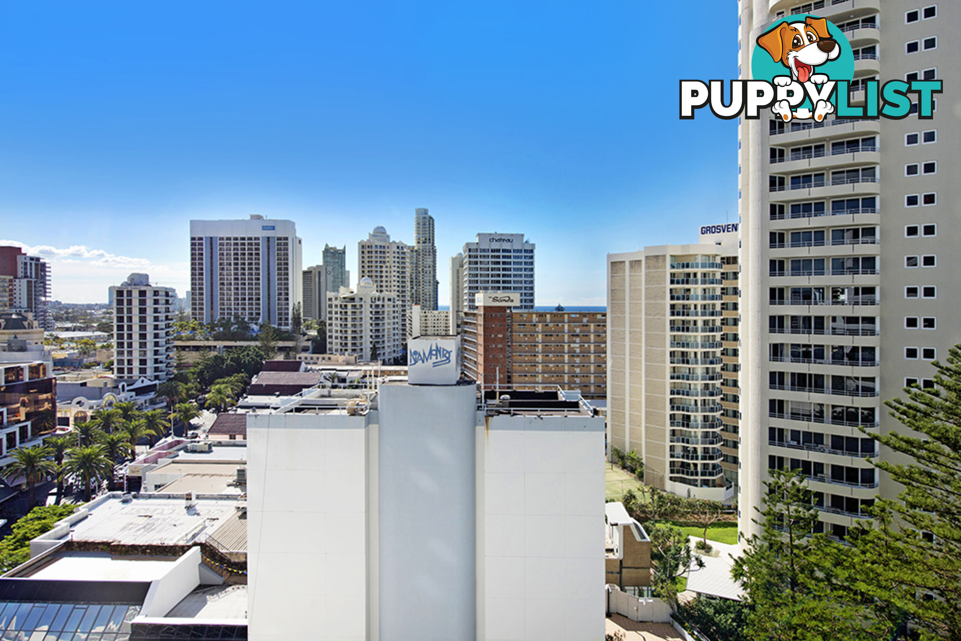 1103/3 Orchid Avenue SURFERS PARADISE QLD 4217