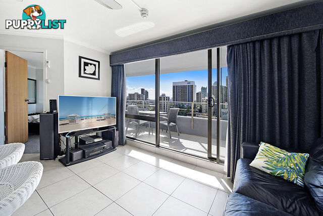 1103/3 Orchid Avenue SURFERS PARADISE QLD 4217