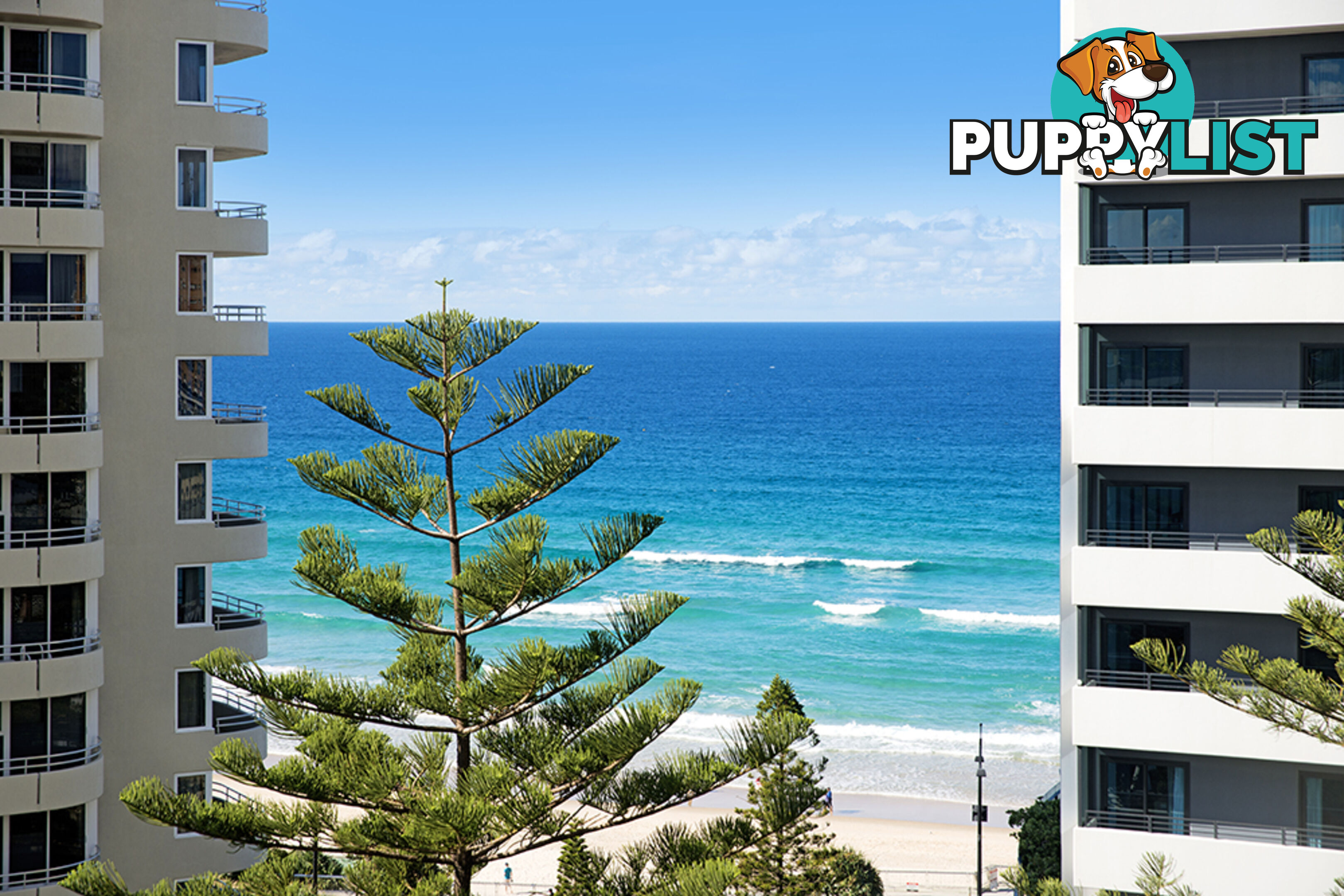 1103/3 Orchid Avenue SURFERS PARADISE QLD 4217