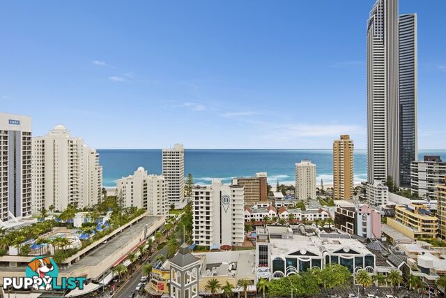 2196/23 Ferny Avenue SURFERS PARADISE QLD 4217