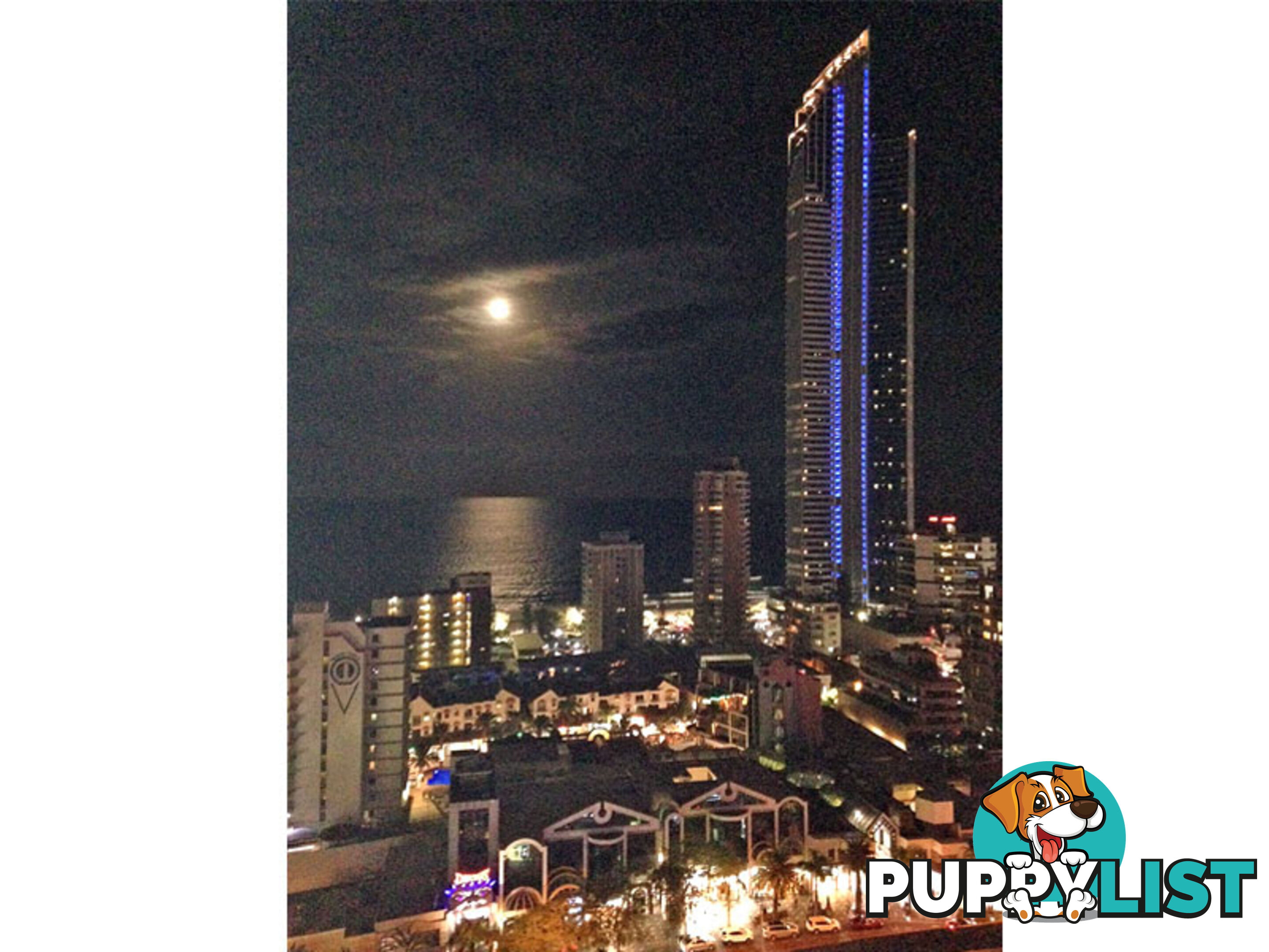 2196/23 Ferny Avenue SURFERS PARADISE QLD 4217