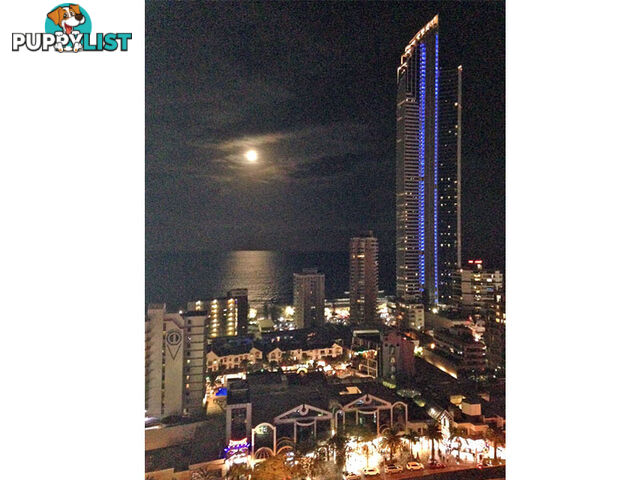 2196/23 Ferny Avenue SURFERS PARADISE QLD 4217