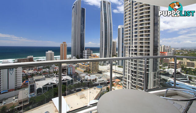 2196/23 Ferny Avenue SURFERS PARADISE QLD 4217