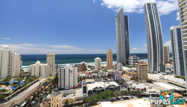 2196/23 Ferny Avenue SURFERS PARADISE QLD 4217