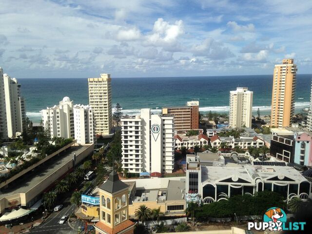 2196/23 Ferny Avenue SURFERS PARADISE QLD 4217