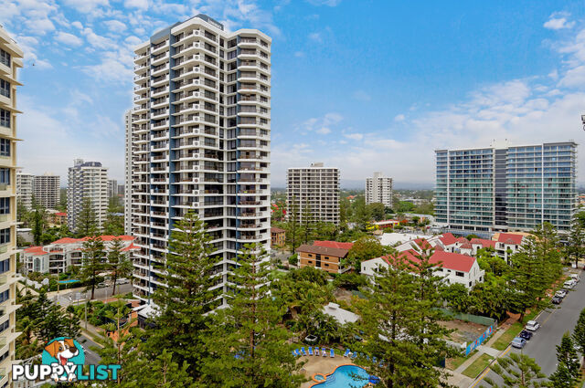 33/29 Northcliffe Terrace SURFERS PARADISE QLD 4217