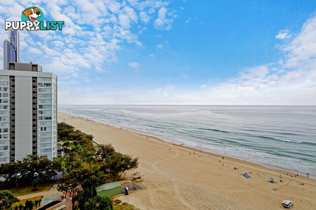 33/29 Northcliffe Terrace SURFERS PARADISE QLD 4217