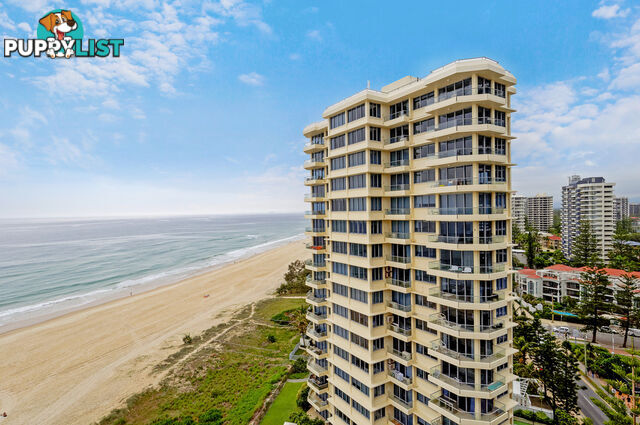 33/29 Northcliffe Terrace SURFERS PARADISE QLD 4217