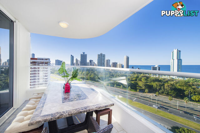 82/12 Commodore Drive SURFERS PARADISE QLD 4217