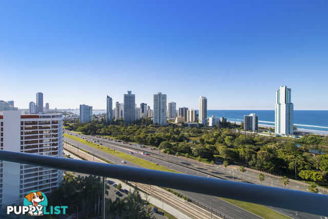 82/12 Commodore Drive SURFERS PARADISE QLD 4217