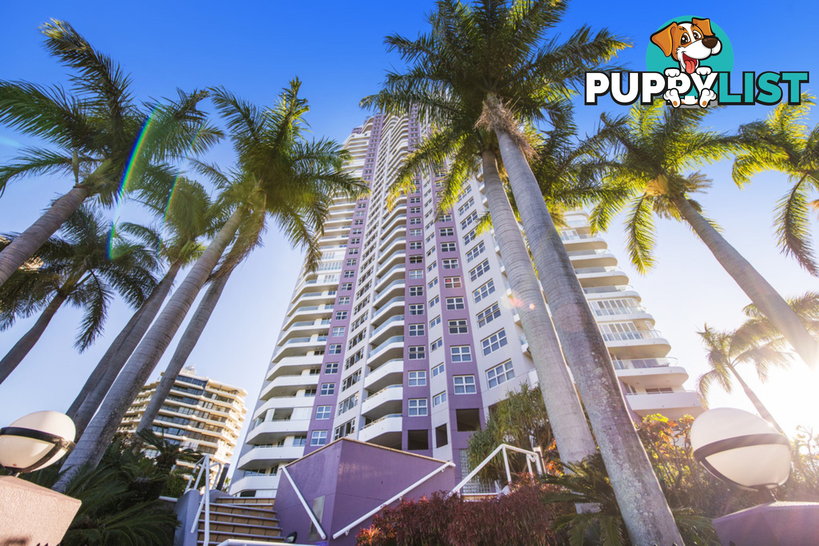 82/12 Commodore Drive SURFERS PARADISE QLD 4217