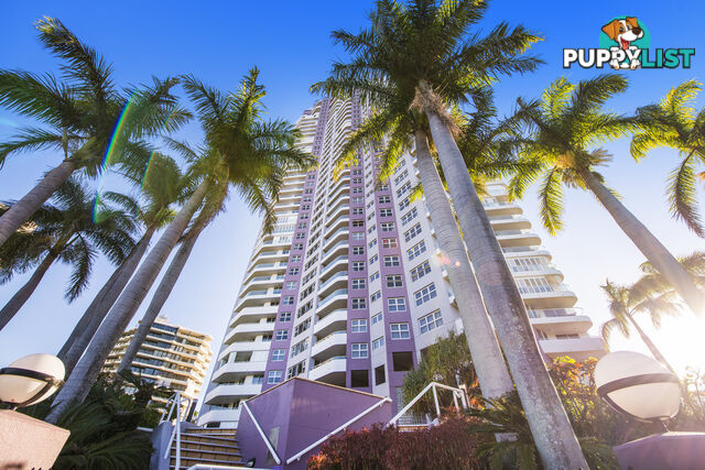 82/12 Commodore Drive SURFERS PARADISE QLD 4217