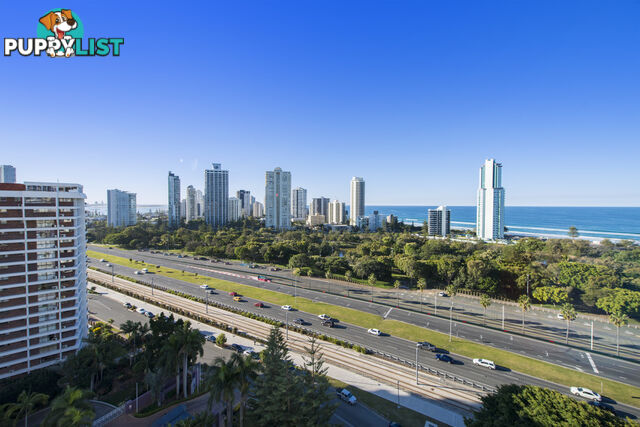 82/12 Commodore Drive SURFERS PARADISE QLD 4217