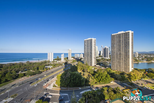 82/12 Commodore Drive SURFERS PARADISE QLD 4217