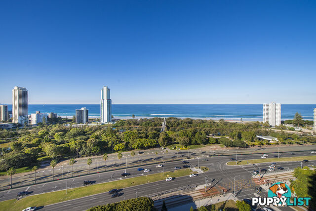 82/12 Commodore Drive SURFERS PARADISE QLD 4217