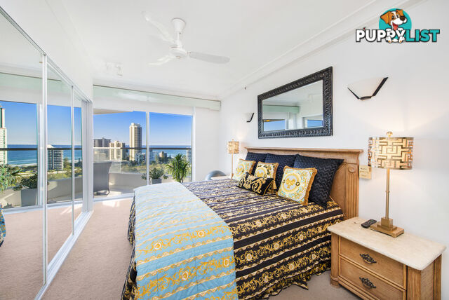 82/12 Commodore Drive SURFERS PARADISE QLD 4217