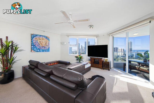 82/12 Commodore Drive SURFERS PARADISE QLD 4217