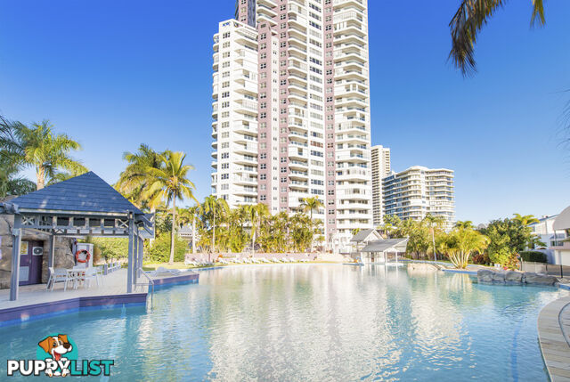 82/12 Commodore Drive SURFERS PARADISE QLD 4217