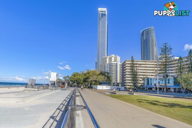 405/40 The Esplanade SURFERS PARADISE QLD 4217