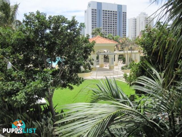 3064/23 Ferny Avenue SURFERS PARADISE QLD 4217