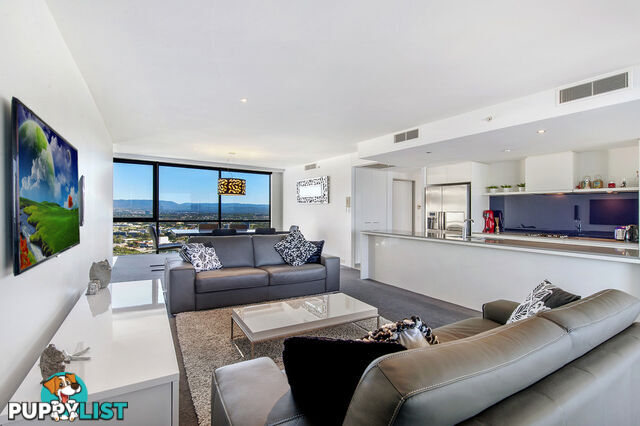 2381/9 Ferny Avenue SURFERS PARADISE QLD 4217