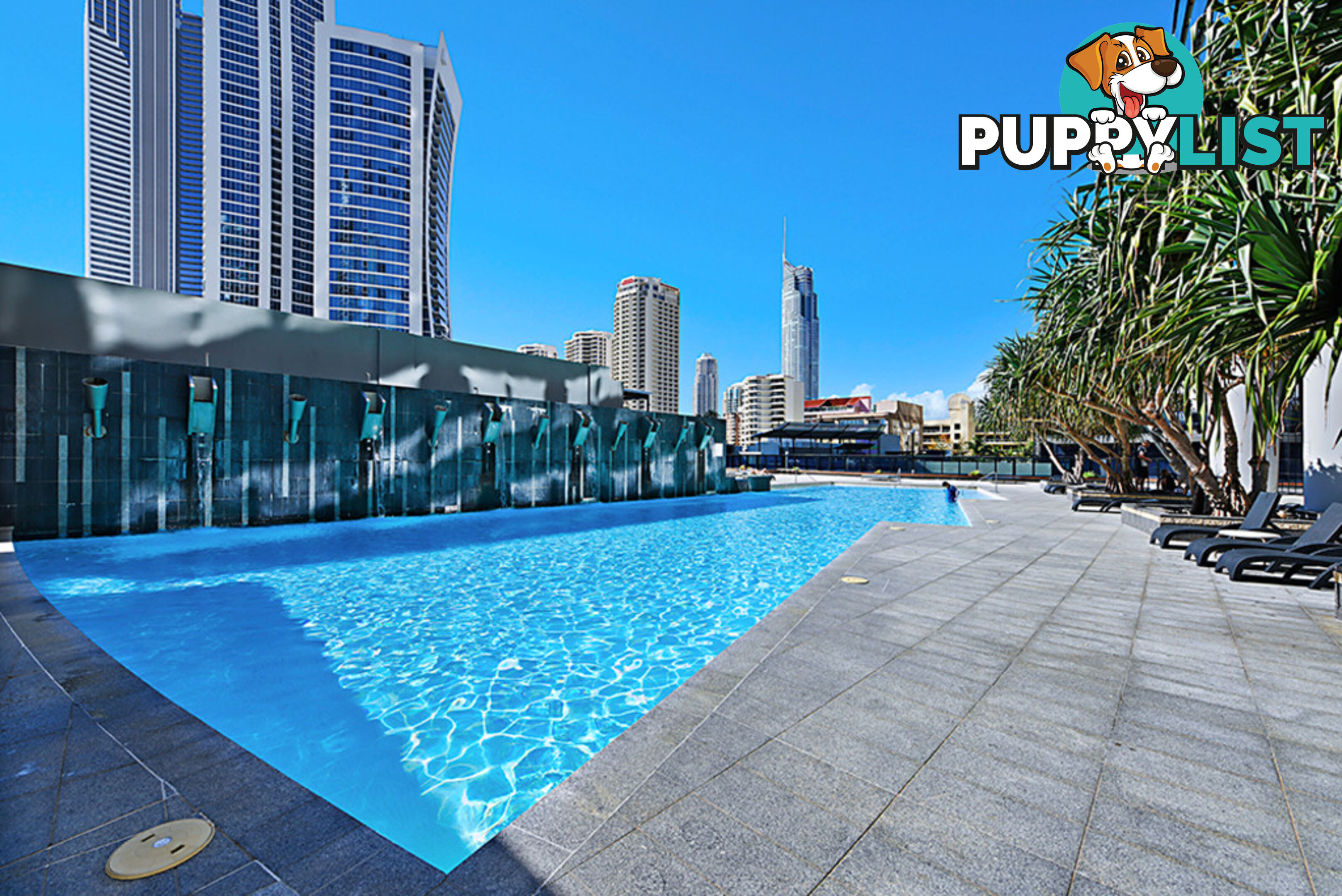 2381/9 Ferny Avenue SURFERS PARADISE QLD 4217