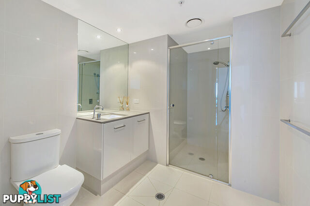 2381/9 Ferny Avenue SURFERS PARADISE QLD 4217