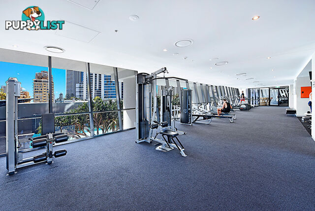 2381/9 Ferny Avenue SURFERS PARADISE QLD 4217