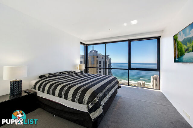 2381/9 Ferny Avenue SURFERS PARADISE QLD 4217