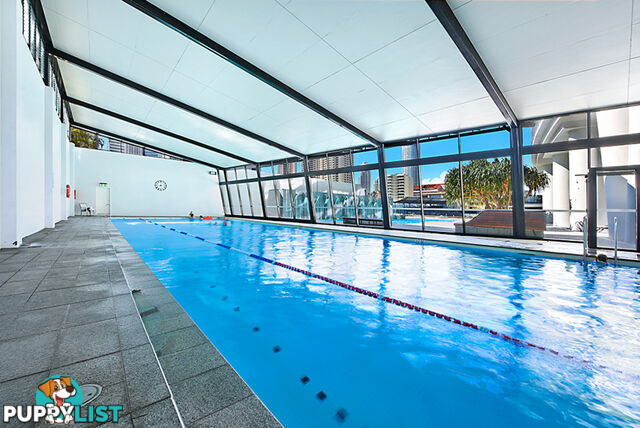 2381/9 Ferny Avenue SURFERS PARADISE QLD 4217