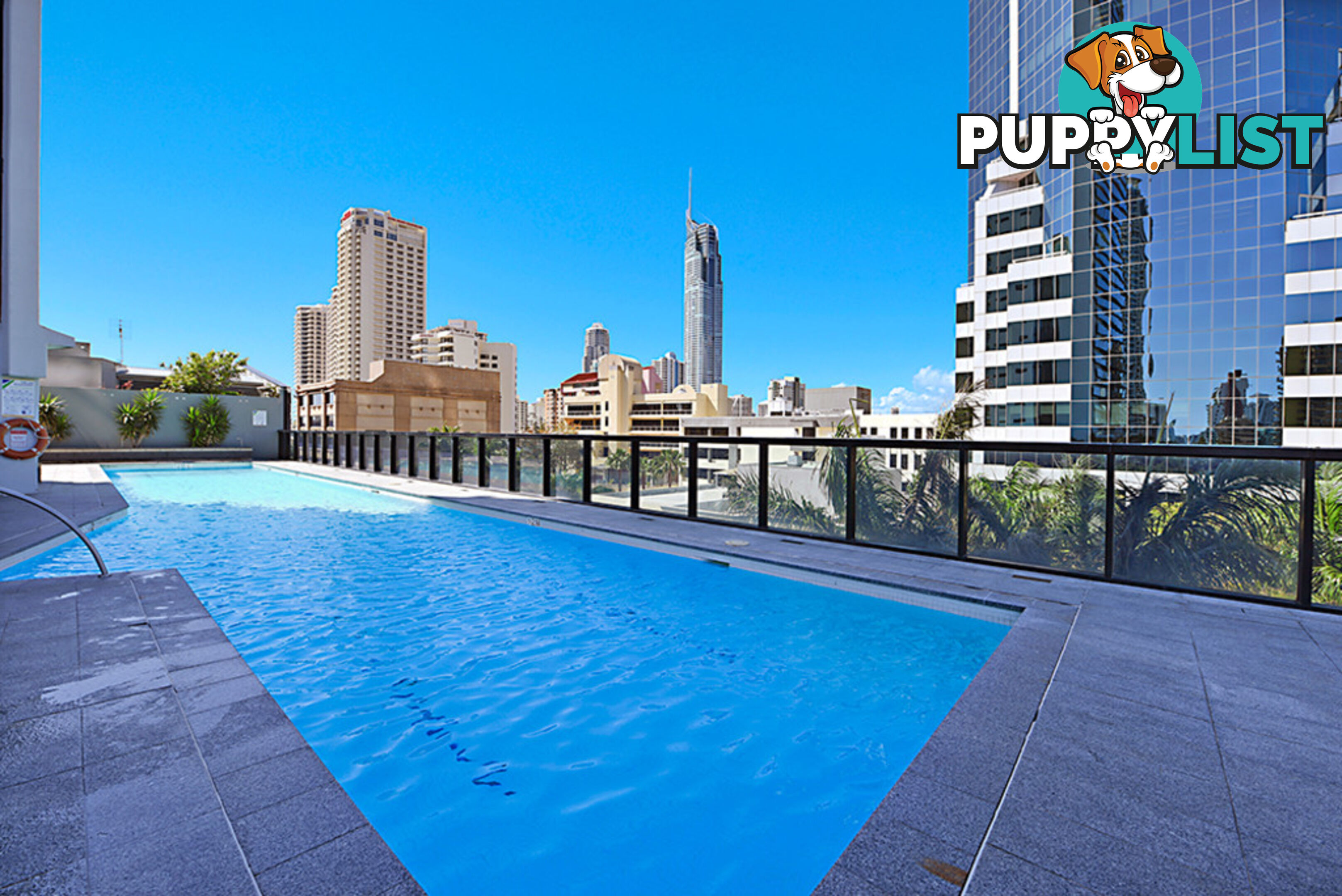2381/9 Ferny Avenue SURFERS PARADISE QLD 4217