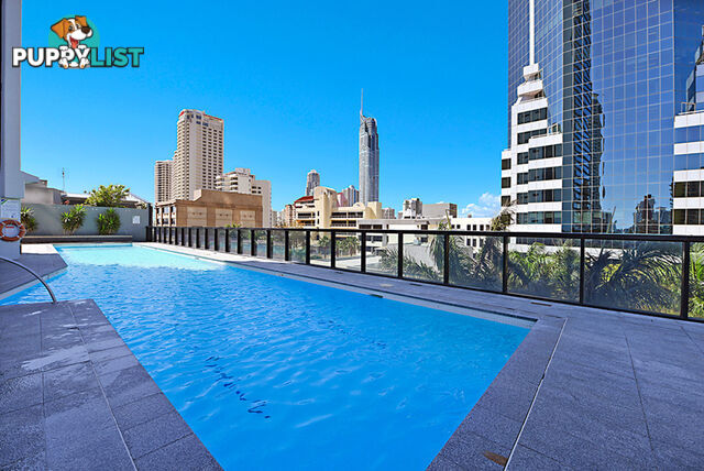 2381/9 Ferny Avenue SURFERS PARADISE QLD 4217