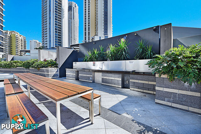 2381/9 Ferny Avenue SURFERS PARADISE QLD 4217
