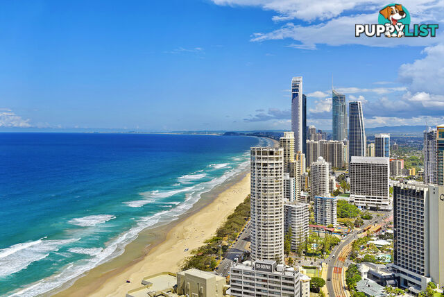 2105/3440 Surfers Paradise Boulevard SURFERS PARADISE QLD 4217