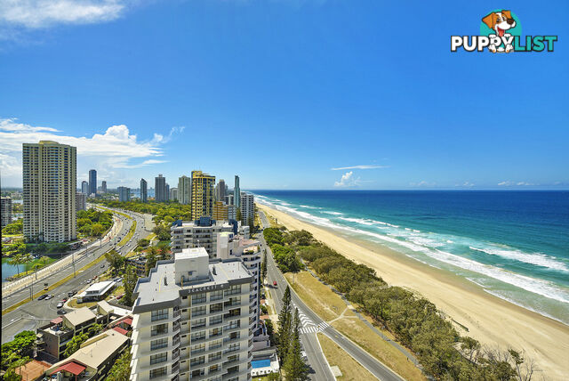 2105/3440 Surfers Paradise Boulevard SURFERS PARADISE QLD 4217