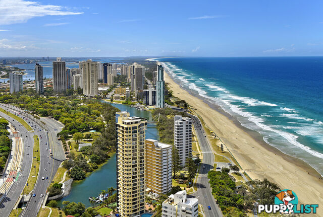 2105/3440 Surfers Paradise Boulevard SURFERS PARADISE QLD 4217