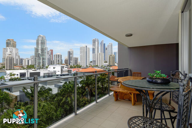 32/53 Darrambal Street SURFERS PARADISE QLD 4217