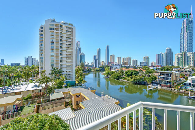 501/7 Mallana SURFERS PARADISE QLD 4217