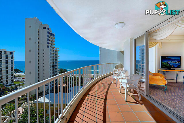 44/7 Elkhorn Avenue SURFERS PARADISE QLD 4217