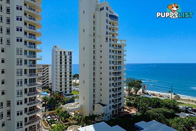 44/7 Elkhorn Avenue SURFERS PARADISE QLD 4217