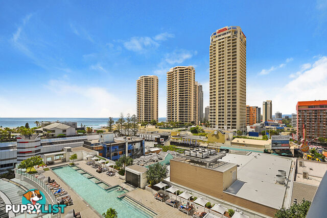 10604/3113 Surfers Paradise Boulevard SURFERS PARADISE QLD 4217