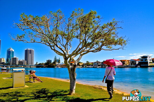1/28 Blondell Avenue SURFERS PARADISE QLD 4217