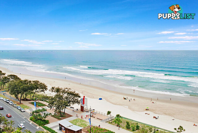 1105/44 The Esplanade SURFERS PARADISE QLD 4217